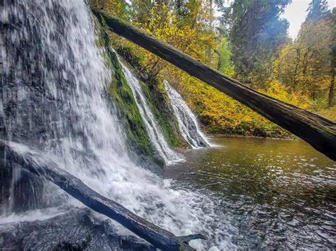 Hiking Cherry Creek Falls in Washington