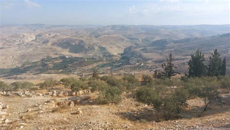 View Of Holy Land From Mt Nebo Jordan Stock Photo Image Of Holy