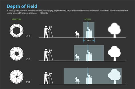 Beginner Depth of Field Diagram | Depth of field, Miniature photography ...