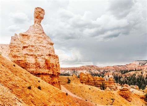 Bryce Canyon - hoodoos and tiny creatures - SarahintheGreen