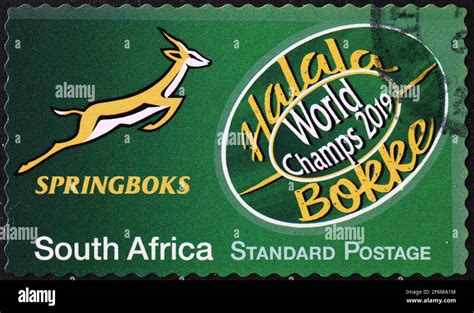 Springboks Rugby Logo