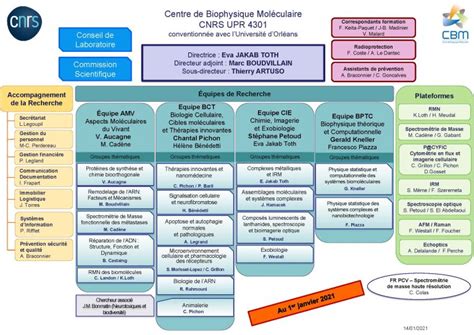 Organigramme Centre de Biophysique Moléculaire CNRS Orléans