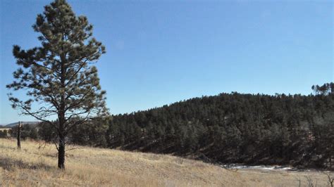 Elk Mountain Nature Trail (U.S. National Park Service)