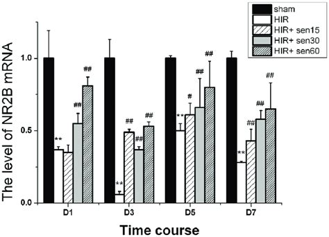 NR2B mRNA relative expression in rats hippocampus. RT-PCR images for ... 