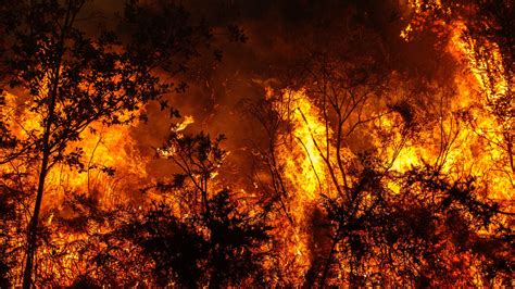 Spanien Prognosen sagen Hitzewellen und Waldbrände voraus Weather