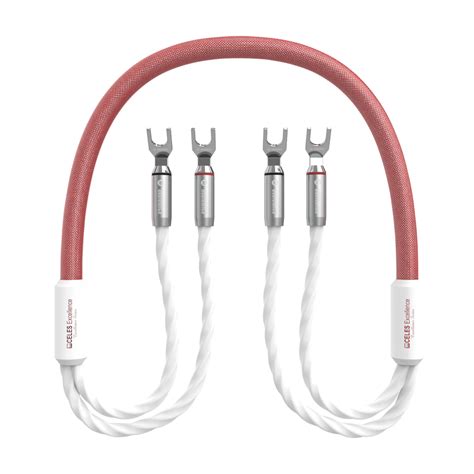 celes excellence audiomica