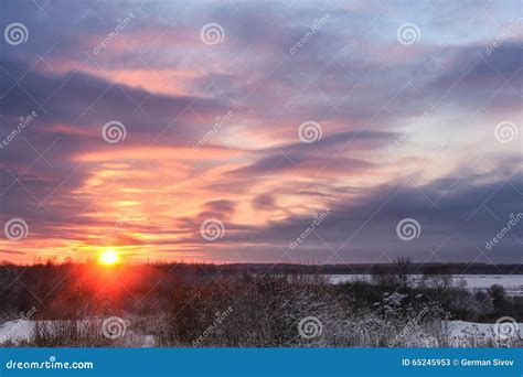 Winter sky at sunset stock image. Image of cold, tree - 65245953