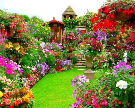 Dreamy Colorful Gorgeous Backyard Garden Flowers Wonderland The Garden Beautiful Gardens