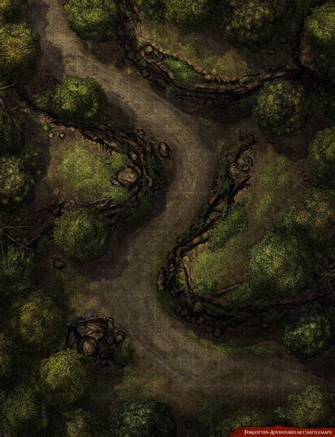 Free Forest Trail X Fantasy Battlemap For Dnd