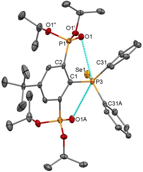 Chelating Phosphorusan O C O‐coordinating Pincer‐type Ligand