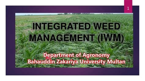 Integrated Weed Management Iwm