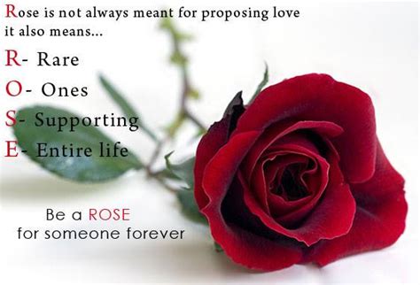 Happy Rose Day.....Happy Rose Day - Inspirational Quotes - Pictures ...