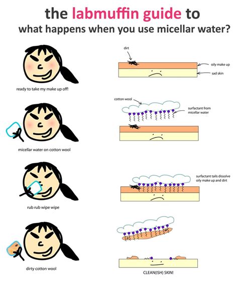 What Is Micellar Water And How Does It Work Lab Muffin 58 Off