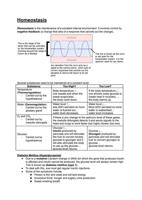 SOLUTION 14 Homeostasis And Endocrine 2 Docx 1 Studypool