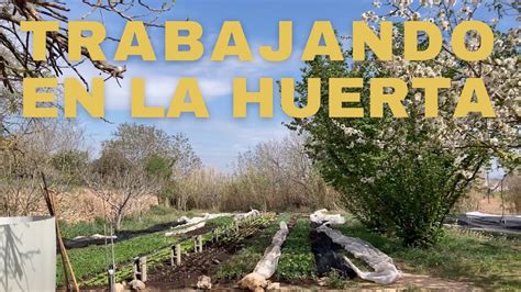 Un Dia Trabajando En La Huerta Youtube