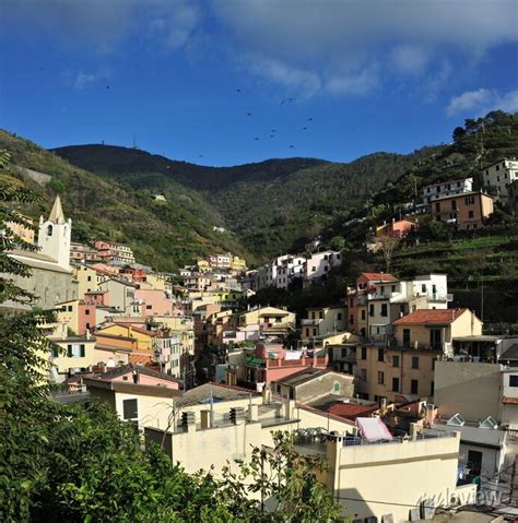 Aerial View Of Vernazza Small Italian Town In The Province Wall Mural