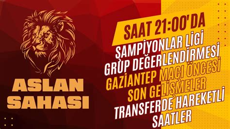 Aslan Sahasi Yonlar L G Grup De Erlend Rmes Gaz Antep Ma I