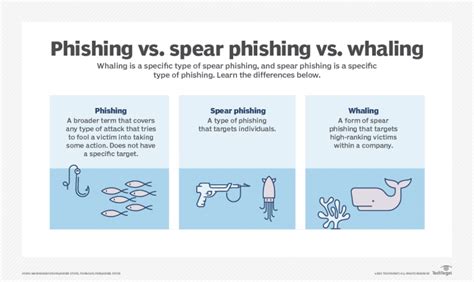 Whaling Attack Whaling Phishing A Tech Explanation How They Work