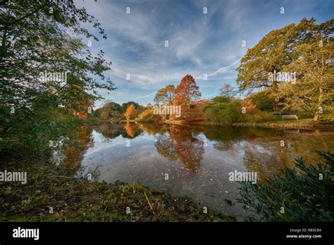 Lake At Kew Gardens Stock Photo Alamy