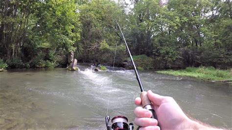 Small Creek Trout Fishing Loaded With Trout Youtube