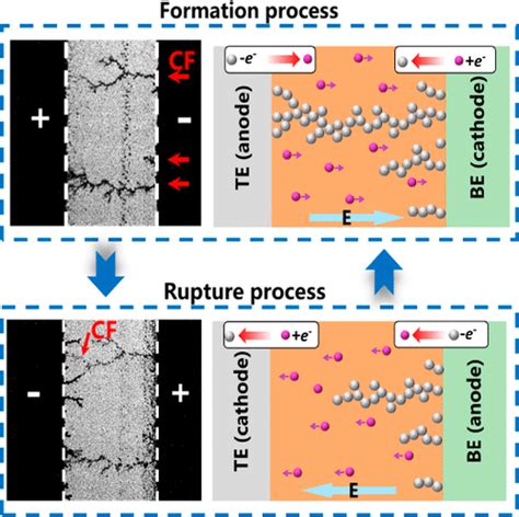 In Situ Unveiling Of The Resistive Switching Mechanism Of Halide