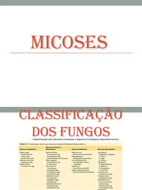 Micose E Fungo É A Mesma Coisa - Classificação das Micoses Fúngicas | PDF | Candidíase | Fungo