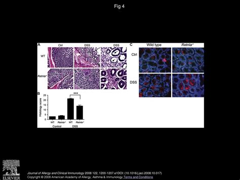 Ariel Munitz Phd Amanda Waddell Bsc Luqman Seidu Md Eric T Ppt