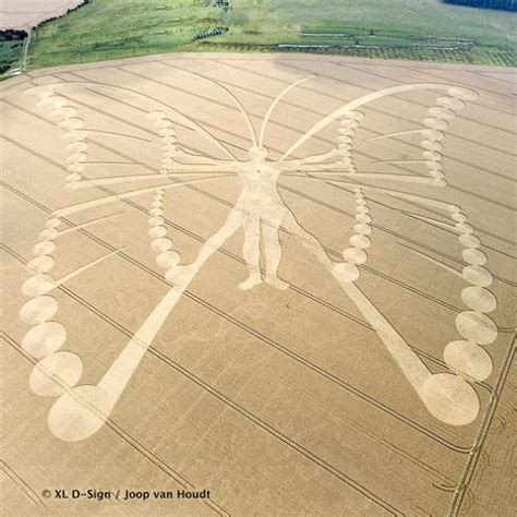 Crop Circles | Crop circles, Agroglifos, Círculos em plantações