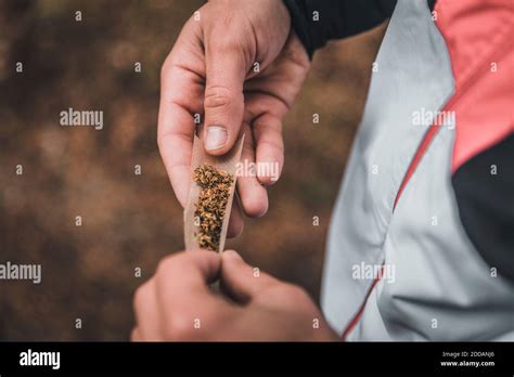 Hands Of Man Rolling Joint Stock Photo Alamy