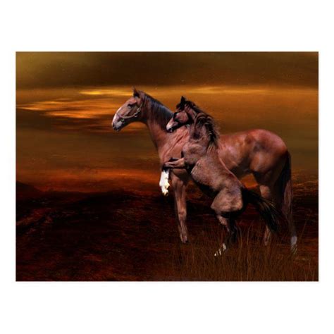 Horses At Dusk Postcard Zazzle Horses Beautiful Horses Beautiful