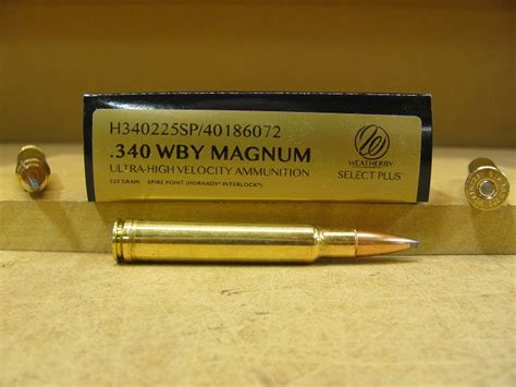 20 Round Box 340 WBY Magnum 225 Grain Spire Point Soft Point