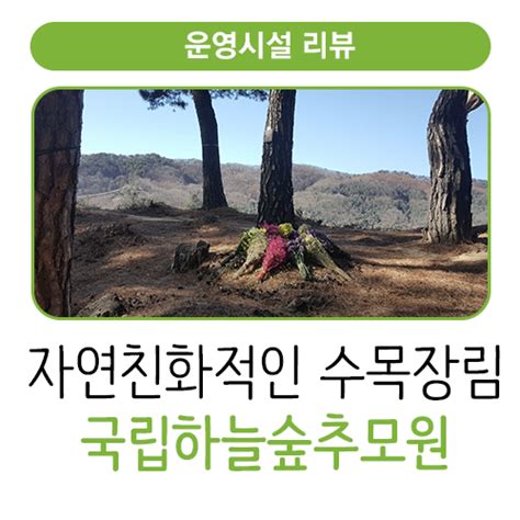 국립하늘숲추모원 수목장림 자연친화적인 장례문화로 확산되길 네이버 블로그