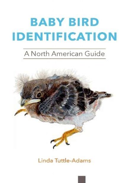 Baby Bird Identification: A North American Guide | NHBS Field Guides ...