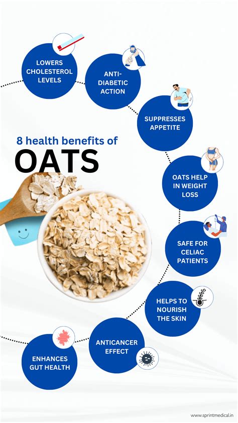 A Cool Guide 8 Health Benefits Of Oats A Healthy Life Is A Happy Life Where Exercise And