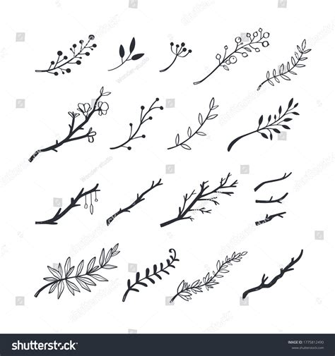 Herbal Floral Doodle Set Vector Hand Stock Vector Royalty Free