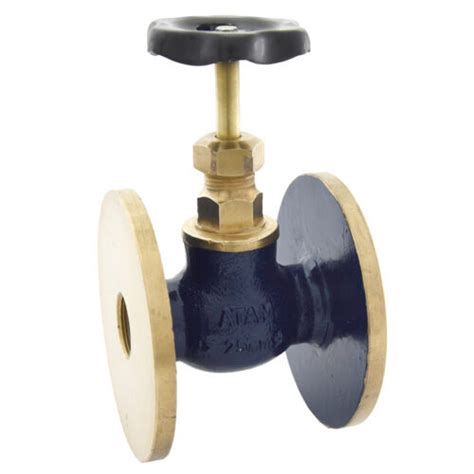 Flanged Ends Bronze Globe Valve Class 1 Application Water At Best