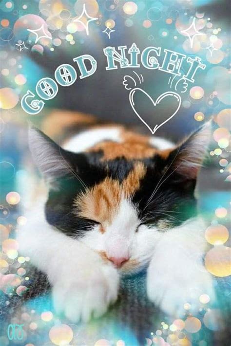 Pin By Miss Audrey On Facebook In 2023 Good Night Cards Cute Good