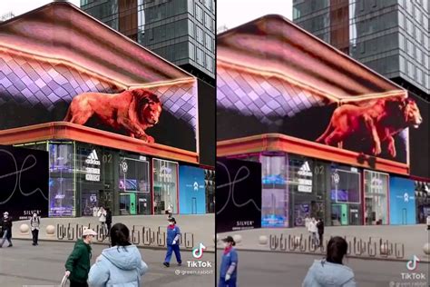 Watch Breathtaking 3D Displays Of Lion Breaking Out Of Screen Is