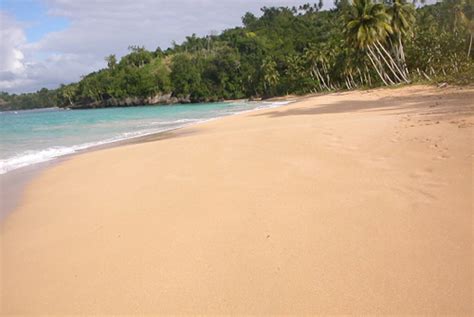 Paradise Beachland Samana