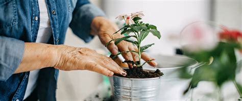 The 2020 Holiday Gift Guide for Seniors Who Love to Garden | Regency Oaks