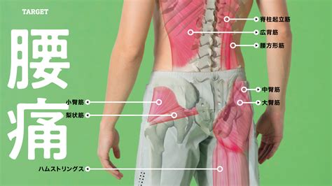 腰痛はなぜ起こる？ 腰痛のメカニズム