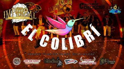 El Colibri Banda Imperial De Huajuapan Estreno Audio Youtube