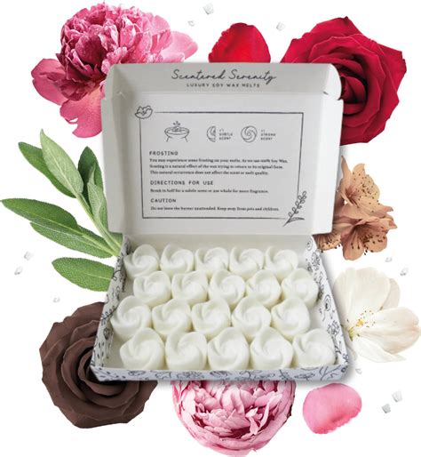 Jo Malone Collection 2 Inspired Wax Melts Strong Scented 20 Pack