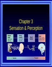 Sensation And Perception Pptx Chapter Sensation Perception