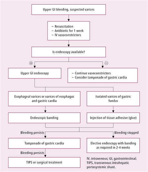 Gastrointestinal Bleeding Intestinal Diseases Gastrointestinal