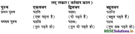 Rbse Class 9 Sanskrit व्याकरणम् धातुरूपाणि