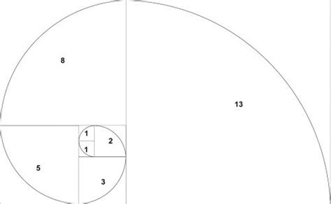 Significado Da Sequ Ncia De Fibonacci O Que Conceito E Defini O