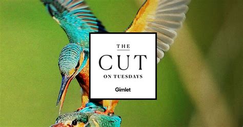The Cut On Tuesdays What Does It Mean To Be Horny
