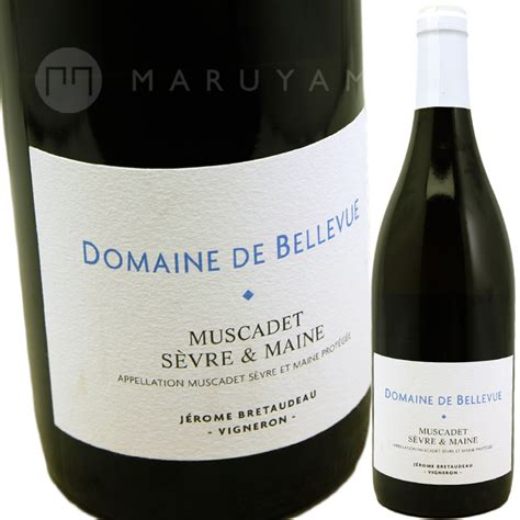 Domaine De Belle Vue Muscadet