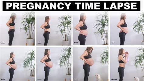 Pregnancy Time Lapse And Postpartum Belly Weekly Photos Jenelle